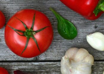 5 reasons superfoods must be consumed daily
                              
                              Published by Livemint | 18 Dec 2024