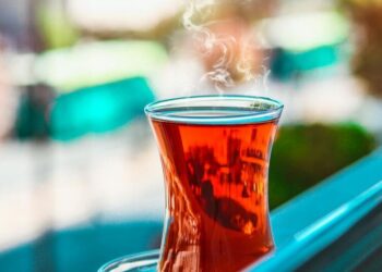 6 hot drinks that will keep you warm this winter
                              
                              Published by Livemint | 21 Dec 2024