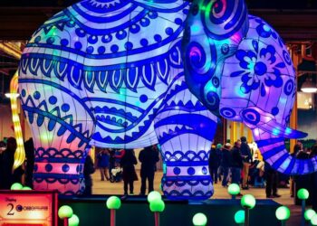 5 adventure parks in India you must visit
                              
                              Published by Livemint | 21 Dec 2024