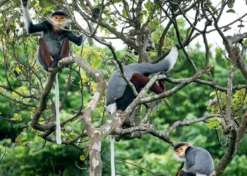 5 Strangest New Species Of 2024
                              
                              Published by Livemint | 30 Dec 2024