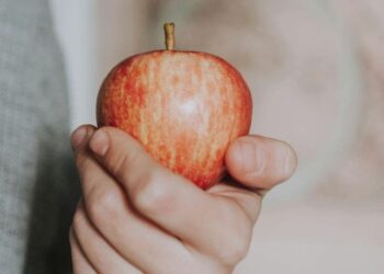 5 reasons to consider apple as a superfood
                              
                              Published by Livemint | 19 Dec 2024