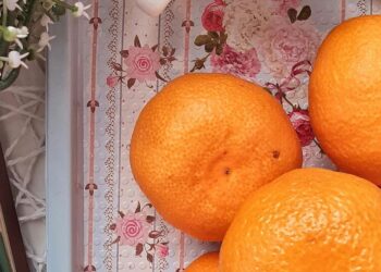 7 healthy morning recipes made from orange
                              
                              Published by Livemint | 23 Dec 2024