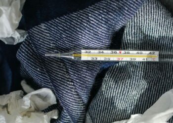 5 things you should know about Disease X
                              
                              Published by Livemint | 09 Dec 2024