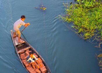 5 places to visit in Assam
                              
                              Published by Livemint | 15 Dec 2024