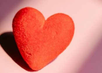 6 superfoods for a healthy heart
                              
                              Published by Livemint | 18 Dec 2024