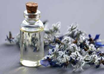 Top 5 Essential Oils for Boosting Mental Clarity a …
                              
                              Published by Livemint | 30 Dec 2024