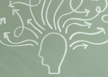 Top 5 superfoods for better mental focus and memor …
                              
                              Published by Livemint | 20 Dec 2024