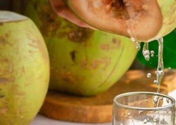 5 health benefits of drinking tender coconut water …
                              
                              Published by Livemint | 05 Dec 2024