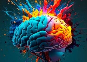 5 foods to boost brain health and memory power
                              
                              Published by Livemint | 10 Dec 2024