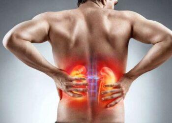 5 foods to help prevent and manage kidney stones
                              
                              Published by Livemint | 05 Dec 2024
