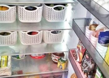 5 Nutrition Myths About Frozen Food
                              
                              Published by Livemint | 05 Jan 2025