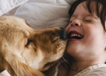 5 animals that are generally considered human-frie …
                              
                              Published by Livemint | 04 Jan 2025