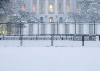 7 Images Of Winter Storm in The USA
                              
                              Published by Livemint | 08 Jan 2025