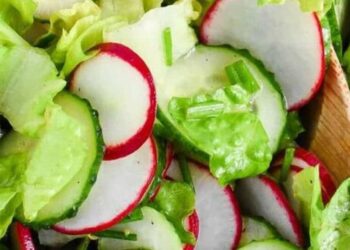 8 Benefits Of Radish Leaves
                              
                              Published by Livemint | 07 Jan 2025