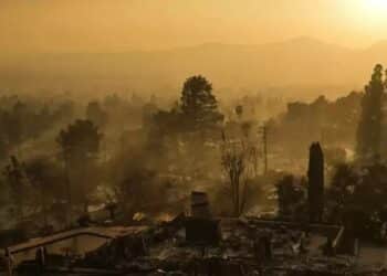 7 Images Show Palisades Fire in Los Angeles
                              
                              Published by Livemint | 10 Jan 2025