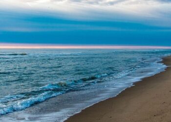 5 reasons january is the perfect time for a beach  …
                              
                              Published by Livemint | 05 Jan 2025