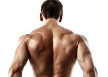 5 Simple Exercises To Strengthen Your Back Muscles
                              
                              Published by Livemint | 03 Jan 2025