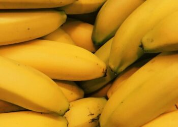 5 Science-Backed Benefits Of Eating Bananas Daily
                              
                              Published by Livemint | 29 Jan 2025
