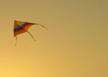 5 Safe And Unique Kite-Flying Tips for Makar Sankr …
                              
                              Published by Livemint | 09 Jan 2025