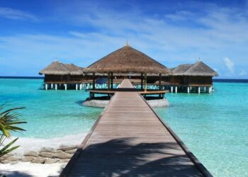 5 New Travel Retreats Addressing Depression And Gr …
                              
                              Published by Livemint | 08 Jan 2025