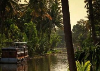 5 must-do activities in Kerala
                              
                              Published by Livemint | 04 Jan 2025