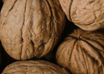 5 Reasons Walnuts Should Be Your Go-To Snack
                              
                              Published by Livemint | 03 Jan 2025