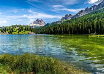 5 unique destinations for wildlife enthusiasts
                              
                              Published by Livemint | 11 Jan 2025