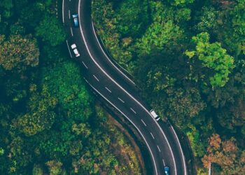 5 Epic Road Trips in the USA for Adventure Seekers
                              
                              Published by Livemint | 28 Jan 2025