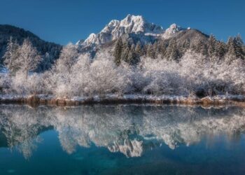 5 Must-Visit National Parks Around the World
                              
                              Published by Livemint | 28 Jan 2025