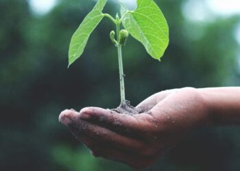 5 Types of Eco-Friendly Food Packaging
                              
                              Published by Livemint | 26 Jan 2025