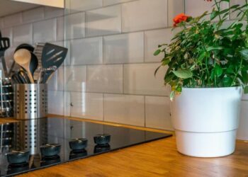 5 Kitchen Hacks For Healthy Cooking
                              
                              Published by Livemint | 28 Jan 2025