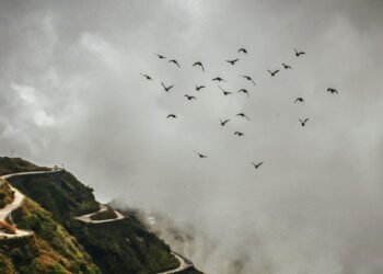 7 Places to Visit in Sikkim That Are Not Tourist T …
                              
                              Published by Livemint | 31 Dec 2024