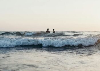 5 Stunning Resorts With Private Beaches In Goa
                              
                              Published by Livemint | 21 Jan 2025