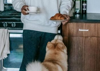 5 Pet-Friendly Fruits For Your Pets
                              
                              Published by Livemint | 07 Jan 2025