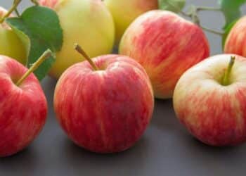 7 seasoned fruits you will find in January
                              
                              Published by Livemint | 05 Jan 2025