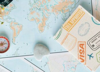 5 New Visa Rules Changed For Indians in 2024
                              
                              Published by Livemint | 31 Dec 2024