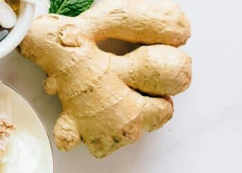 Why Saunth Water Should Be Go-To Winter Elixir
                              
                              Published by Livemint | 04 Jan 2025