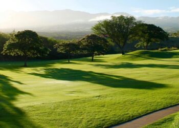 6 Greenest cities in the world
                              
                              Published by Livemint | 16 Jan 2025