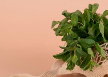 5 Ways Peppermint Benefits Health
                              
                              Published by Livemint | 29 Jan 2025