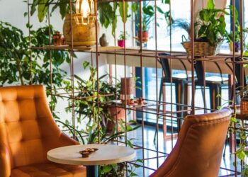 5 Creative Ways to Personalise Your Home Décor
                              
                              Published by Livemint | 26 Jan 2025