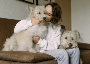 5 animals that make great emotional support pets
                              
                              Published by Livemint | 05 Jan 2025