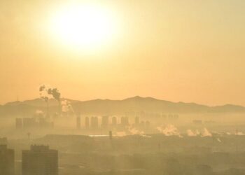 Top 5 health risks of air pollution
                              
                              Published by Livemint | 13 Jan 2025