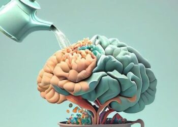 7 tips to keep your memory sharp at any age visual …
                              
                              Published by Livemint | 12 Jan 2025