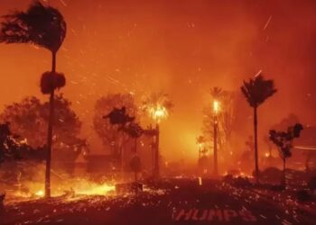 5 Companies Donating Millions to LA Wildfire Relie …
                              
                              Published by Livemint | 19 Jan 2025