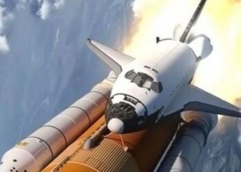 5 animals that have been to space
                              
                              Published by Livemint | 19 Feb 2025