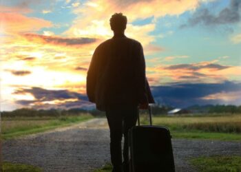 8 best travel-friendly superfoods to pack
                              
                              Published by Livemint | 21 Feb 2025