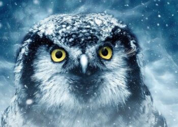 7 powerful spirit animals and their hidden meaning …
                              
                              Published by Livemint | 22 Feb 2025