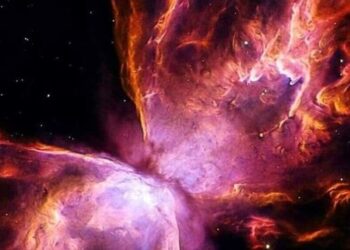 5 breathtaking views of perfectly symmetrical spir …
                              
                              Published by Livemint | 05 Feb 2025