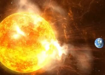 5 key details you need to know about NASA's punch  …
                              
                              Published by Livemint | 11 Feb 2025