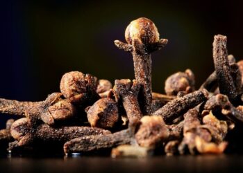 7 health benefits of cloves as per Ayurveda
                              
                              Published by Livemint | 03 Feb 2025